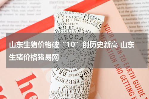 山东生猪价格破“10”创历史新高 山东生猪价格猪易网