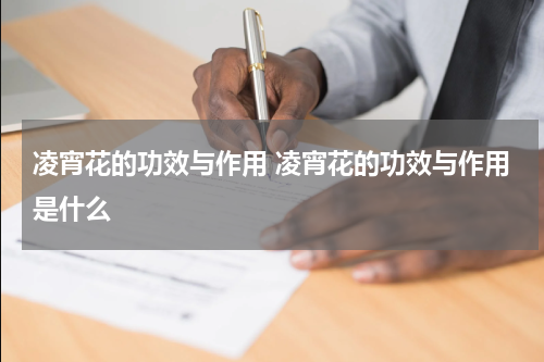 凌宵花的功效与作用 凌宵花的功效与作用是什么