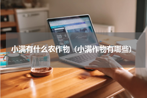 小满有什么农作物（小满作物有哪些）