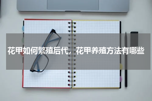 花甲如何繁殖后代，花甲养殖方法有哪些