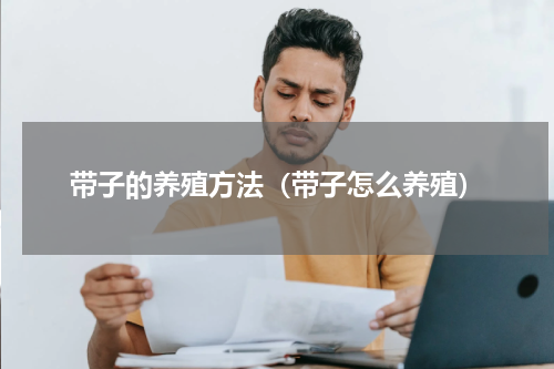带子的养殖方法（带子怎么养殖）