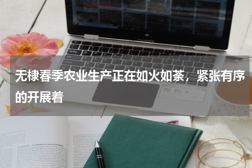 无棣春季农业生产正在如火如荼，紧张有序的开展着