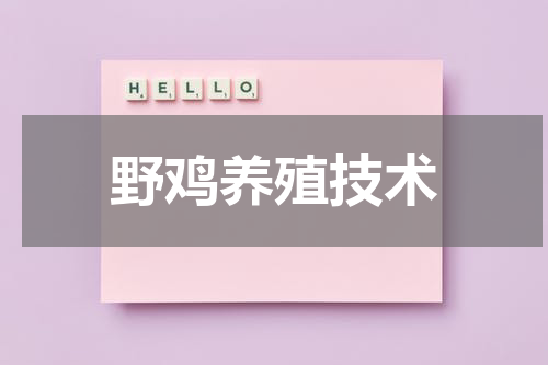 野鸡养殖技术