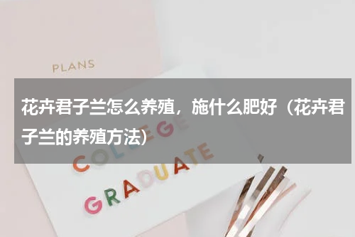 花卉君子兰怎么养殖，施什么肥好（花卉君子兰的养殖方法）
