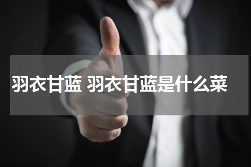 羽衣甘蓝 羽衣甘蓝是什么菜