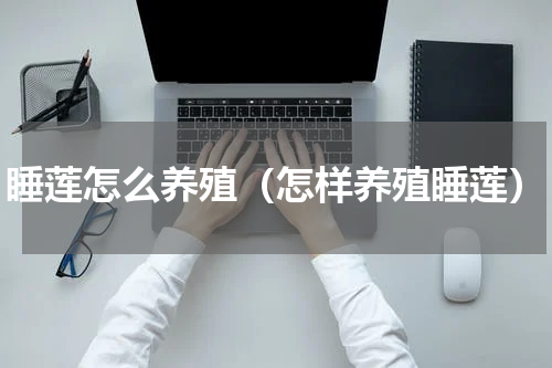 睡莲怎么养殖（怎样养殖睡莲）