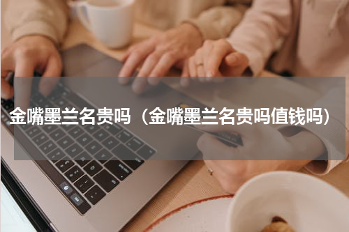 金嘴墨兰名贵吗（金嘴墨兰名贵吗值钱吗）