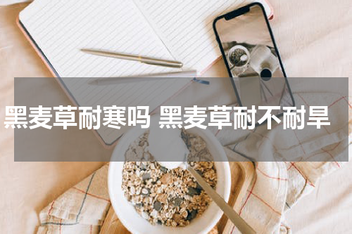 黑麦草耐寒吗 黑麦草耐不耐旱