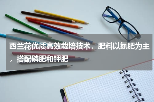 西兰花优质高效栽培技术，肥料以氮肥为主，搭配磷肥和钾肥