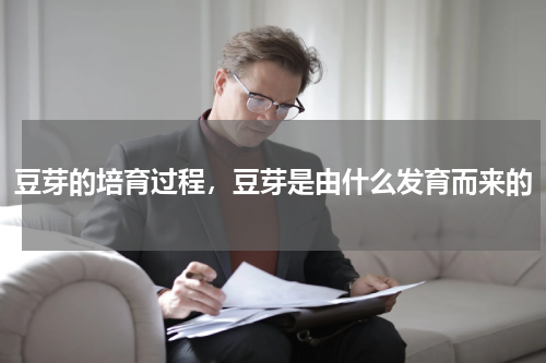 豆芽的培育过程，豆芽是由什么发育而来的