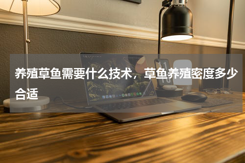 养殖草鱼需要什么技术，草鱼养殖密度多少合适