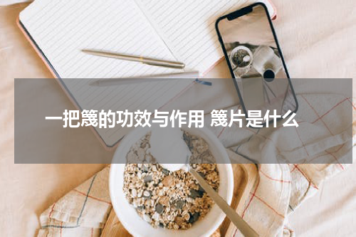 一把篾的功效与作用 篾片是什么