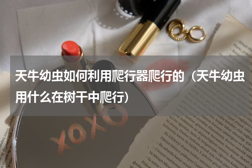 天牛幼虫如何利用爬行器爬行的（天牛幼虫用什么在树干中爬行）