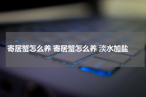 寄居蟹怎么养 寄居蟹怎么养 淡水加盐