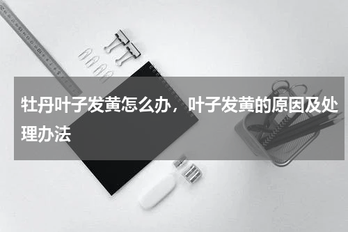牡丹叶子发黄怎么办，叶子发黄的原因及处理办法