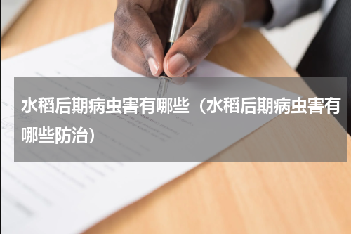 水稻后期病虫害有哪些（水稻后期病虫害有哪些防治）