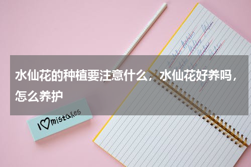 水仙花的种植要注意什么，水仙花好养吗，怎么养护