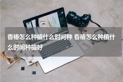 香椿怎么种植什么时间种 香椿怎么种植什么时间种植好