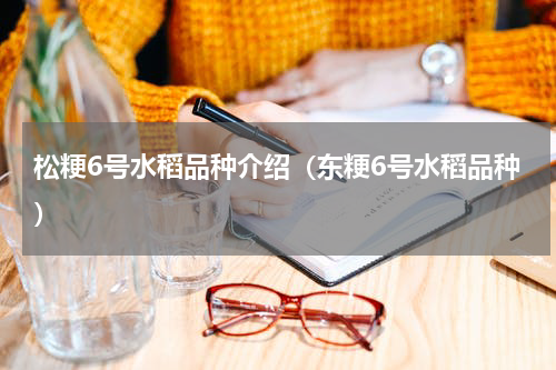 松粳6号水稻品种介绍（东粳6号水稻品种）