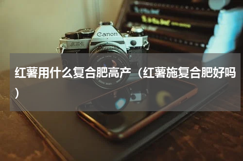 红薯用什么复合肥高产（红薯施复合肥好吗）