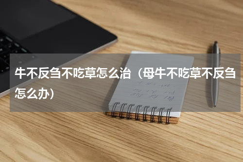 牛不反刍不吃草怎么治（母牛不吃草不反刍怎么办）