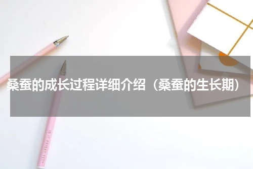 桑蚕的成长过程详细介绍（桑蚕的生长期）