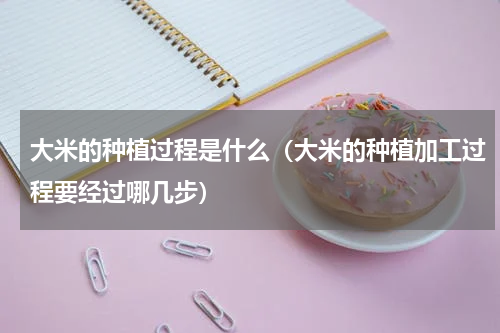 大米的种植过程是什么（大米的种植加工过程要经过哪几步）