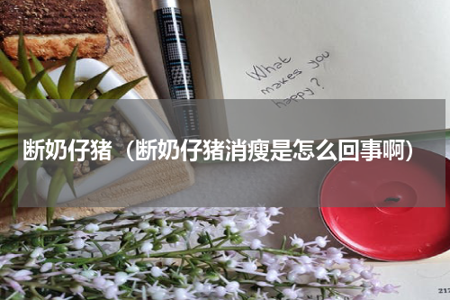 断奶仔猪（断奶仔猪消瘦是怎么回事啊）