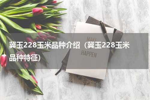 冀玉228玉米品种介绍（冀玉228玉米品种特征）