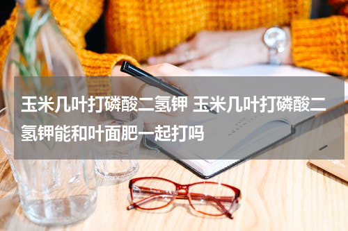 玉米几叶打磷酸二氢钾 玉米几叶打磷酸二氢钾能和叶面肥一起打吗