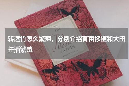 转运竹怎么繁殖，分别介绍育苗移植和大田扦插繁殖