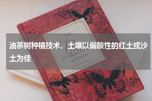 油茶树种植技术，土壤以偏酸性的红土或沙土为佳