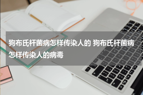 狗布氏杆菌病怎样传染人的 狗布氏杆菌病怎样传染人的病毒