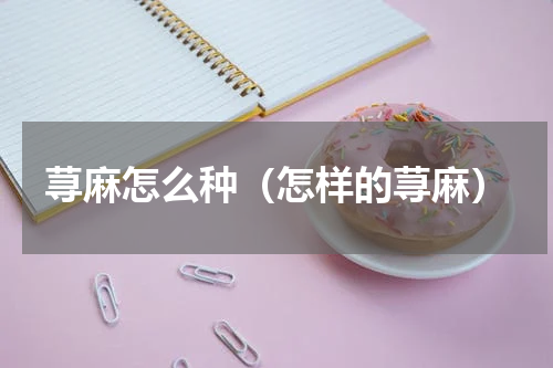 荨麻怎么种（怎样的荨麻）