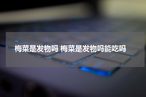 梅菜是发物吗 梅菜是发物吗能吃吗