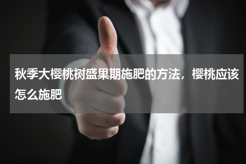 秋季大樱桃树盛果期施肥的方法，樱桃应该怎么施肥