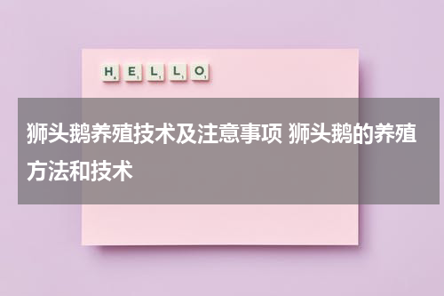 狮头鹅养殖技术及注意事项 狮头鹅的养殖方法和技术