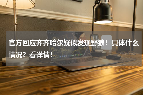 官方回应齐齐哈尔疑似发现野狼！具体什么情况？看详情！