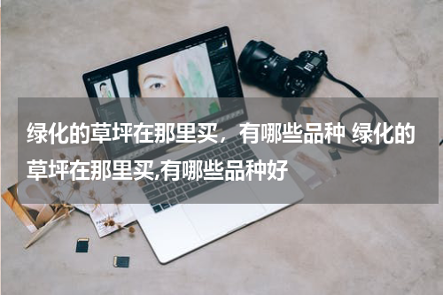 绿化的草坪在那里买，有哪些品种 绿化的草坪在那里买,有哪些品种好