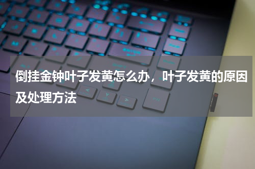 倒挂金钟叶子发黄怎么办，叶子发黄的原因及处理方法