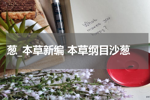 葱_本草新编 本草纲目沙葱