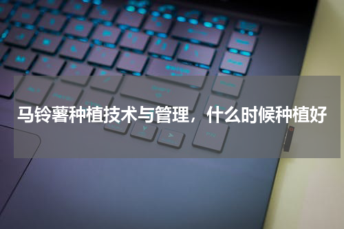 马铃薯种植技术与管理，什么时候种植好