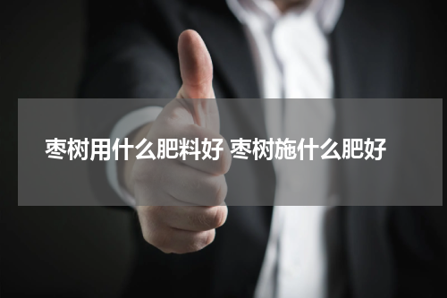 枣树用什么肥料好 枣树施什么肥好