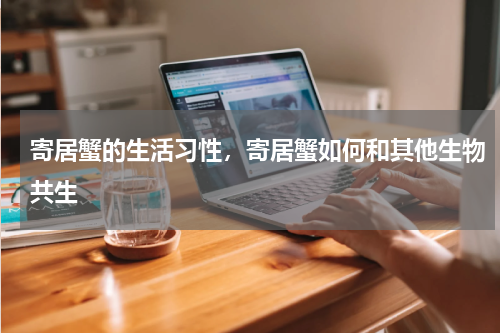寄居蟹的生活习性，寄居蟹如何和其他生物共生