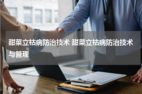 甜菜立枯病防治技术 甜菜立枯病防治技术与管理