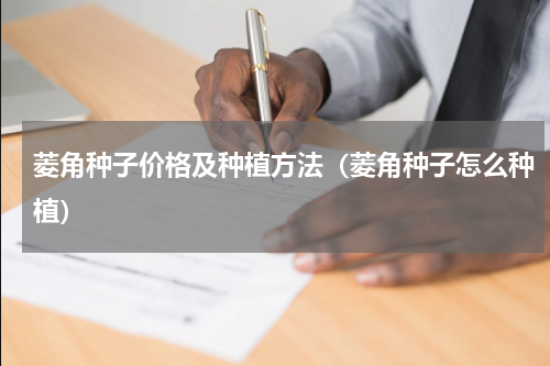 菱角种子价格及种植方法（菱角种子怎么种植）