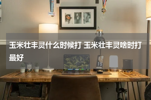 玉米壮丰灵什么时候打 玉米壮丰灵啥时打最好