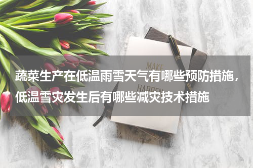 蔬菜生产在低温雨雪天气有哪些预防措施，低温雪灾发生后有哪些减灾技术措施