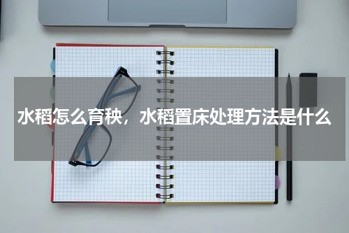 水稻怎么育秧，水稻置床处理方法是什么