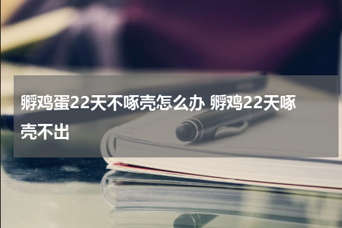 孵鸡蛋22天不啄壳怎么办 孵鸡22天啄壳不出
